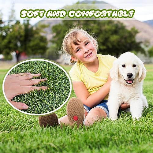 CooZero Artificial Grass, Professional Dog Grass Mat, Potty Training Rug and Replacement Turf Outdoor Rug Patio Lawn Decoration, Easy to Clean with Drainage (39.4 x 31.5 inch)