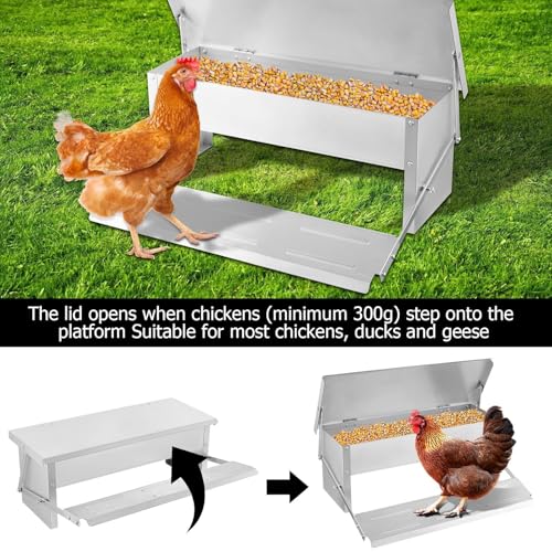 Mangiatoia automatica per pollame con funzionamento a pedale, design resistente alle intemperie e a prova di ratti, ideale per polli, anatre e tacchini