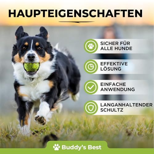 BUDDY'S Best 50ml Spot On Flohmittel Hund Bei Befall - Floh Zeckenschutz Hund - Flöhe Hund - Zeckenmittel Für Hunde - Spot on Hund Anti Floh Hund