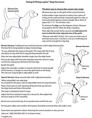 Lupine Step-In Geschirr für kleine Hunde