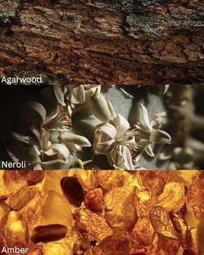 Image of TOXICMALE Oud wood + Neroli Portofino | Perfect Long lasting Men's perfume for office | perfumes for men | Gift for him | TMA34 | 50 ml perfume | TM Perfume House