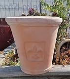 Generisch Schöner Blumentopf ø 29 cm mit Prnament/Lilie/Relief echt Terrakotta Terracotta...