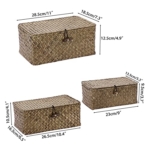 Hipiwe-Shelf-Baskets-with-Lid-Set-of-3-Handwoven-Wicker-Basket-Bins-Box-Lidded-Home-Storage-Bins-Seagrass-Organizer-Baskets-Rectangular-Closet-Mounted-Storage-Boxes-for-Shelf Hipiwe Shelf Baskets with Lid Set of 3 Handwoven Wicker Basket Bins Box Lidded Home Storage Bins Seagrass Organizer Baskets Rectangular Closet Mounted Storage Boxes for Shelf