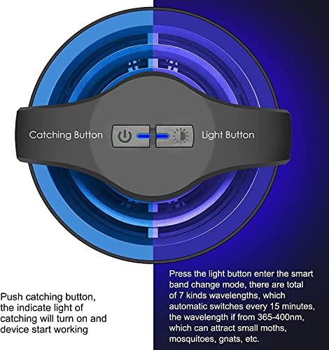 Fly Traps, Gnat Traps, Moth Traps, Mosquito Traps With 10 Sticky Glue Boards Fruit Fly Traps Indoor, Black #TOP1