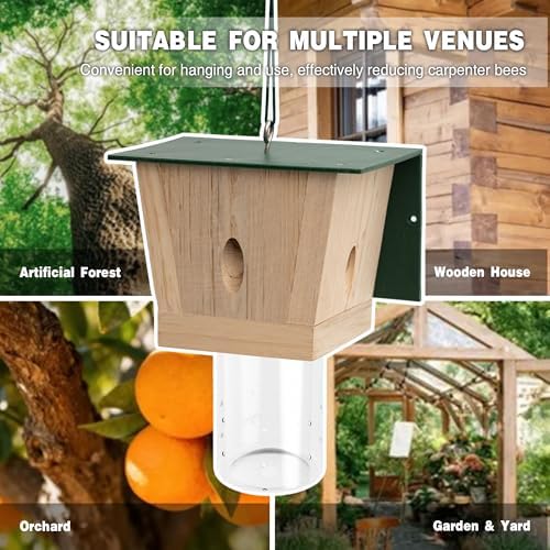 Carpenter Bee Trap for Outside - Green Pentroof Shed Style Nature Hanging Wood Carpenter Bee Traps Outdoor - Best Bee Trap - Insect Traps with Removable Vault (1 Pack) - 4