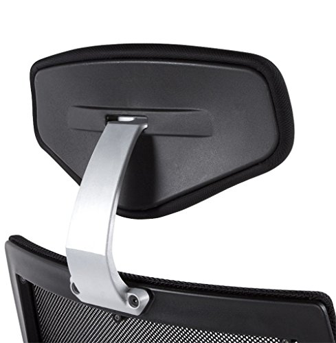 Dorling Kindersley Multimedia - DK Dynamic24