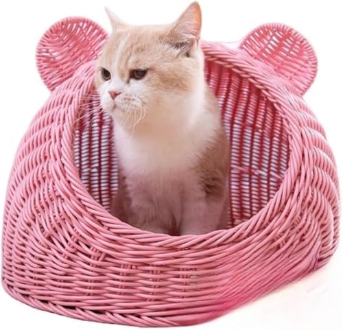 PVTK ^X^C҂ݔLxbh 킢h[^LnEX ^Lxbh ^TCY 􂦂 ʋC lGΉ ybgxbh N[}bg Rbgpbht (50*50cm,sN)