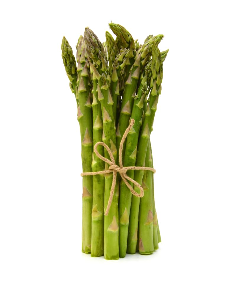 Asparagus Plants, 'Gijnlim', 2 x Full Plants in 2 Litre Pots, Asparagus, Garden Ready and Ready to Plant, Premium Quality Vegetables