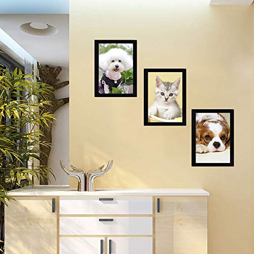 A4 Magnetic, Cornice Magnetica per Espositore, per...