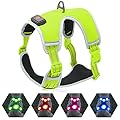 YFbrite Light up Dog Harness for Dogs, USB Rechargeable LED Dog Harness, Reflective Dog Harness, Dog Lights for Harness, Comfortable Adjustable Dog Harness Light (Green, Medium)