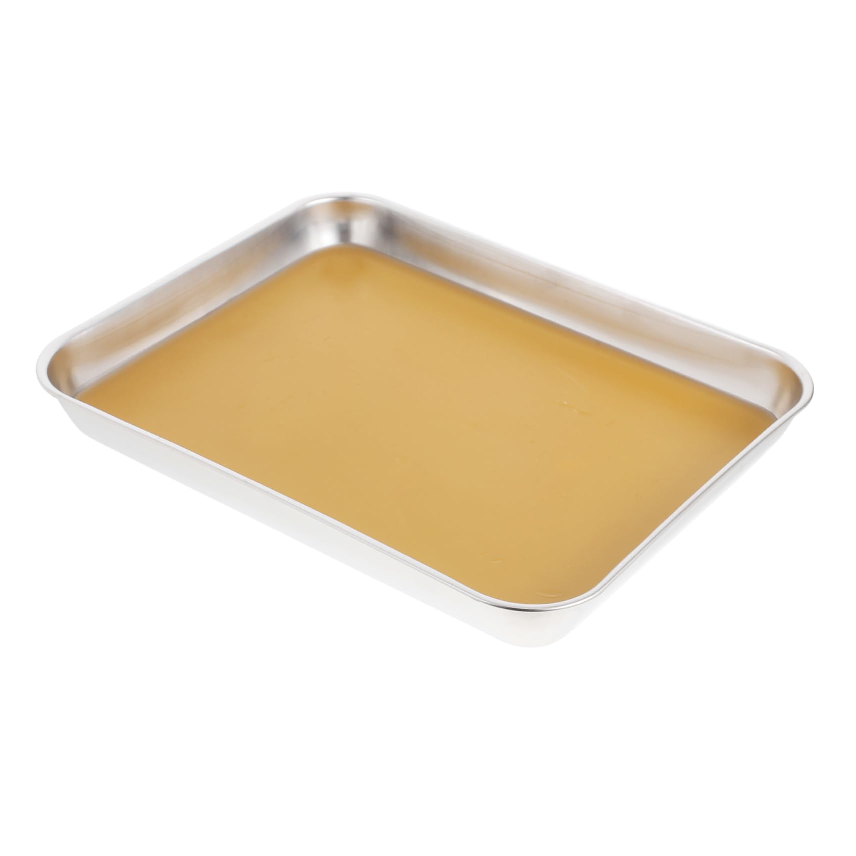 MAGICLULU Vassoio Di Dissezione in Metallo Inox 304 Per Laboratorio Biologico, Piastra Per Studio Del Corpo in Metallo Resistente, Vaschetta Per Dissezione Con Cera Per Scuole Medie e Superi