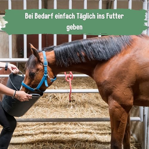 Futterkohle für Pferde 500g – 100% pflanzlich & naturbelassen | Premium Kohlegranulat zur täglichen Fütterung | staubarm & geruchsneutral | hochwertige Ergänzung für ausgewogene Pferdeernährung