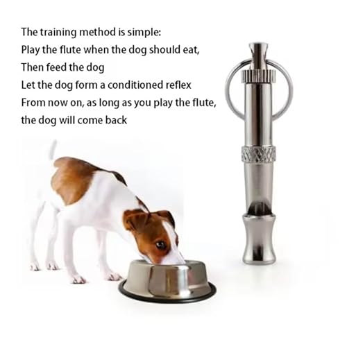 Dog owner training puppy with whistle