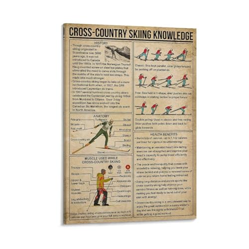 Cross-country Skiing Knowledge Posters, Introduction to Origins, Benefits of Skiing,
