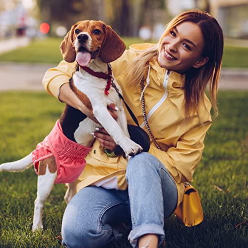 Image of Pet Soft Washable Female Diapers (3 Pack) Female Dog Diapers, Comfort Reusable Doggy Diapers for Girl Dog in Period Heat (Sprightly, L)