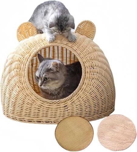 Zeruho LbgnEX h[^LnEX Lxbh L L nEX   Lp LbgnEX LnEX xbh  ^ې ٔLlGjo[TْʋC ͑ٔLxbh \ ėpLxbh N[}bgƃN