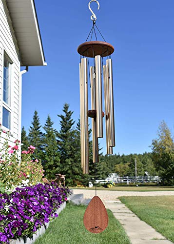 12 Tips On How To Keep Birds From Pooping On My Deck Porch Patio