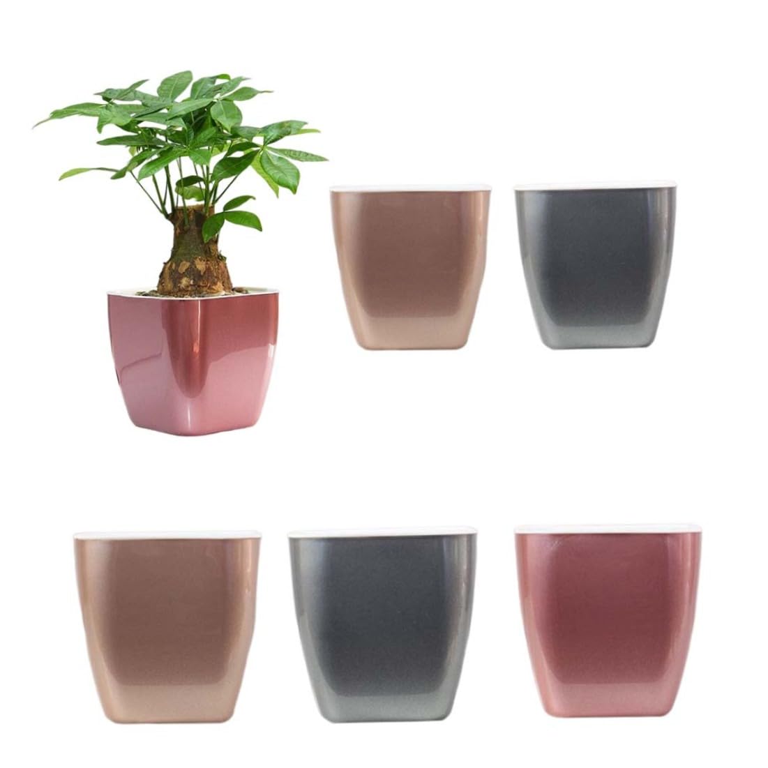 Vistnale Self Watering Planters Plastic Flower Pots for Indoor Plants Orchid African Violet Home Decoration|Plastic basin