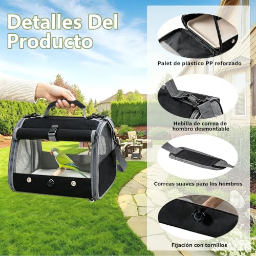 Precio de pericos 11 Imagen adicional