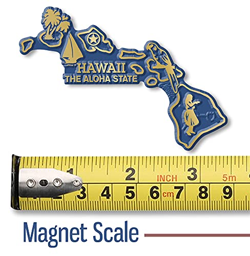 Imán decorativo Hawaii pequeño de goma 3.4" x 2.4" miniatura 2