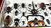 Real Display Insect Taxidermy Big Set in Box for Collectible