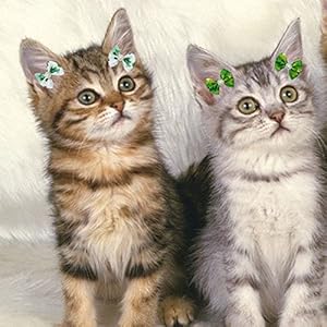 30Pcs-Dog-BowsDog-Puppy-Hair-Bows-with-Rubber-Bands-Rhinestone-PearlsCute-Pet-Small-Dog-Hair-Bowknot-Grooming-AccessoriesClover-Sunflower - Cucciolini Doodles   30Pcs-Dog-BowsDog-Puppy-Hair-Bows-with-Rubber-Bands-Rhinestone-PearlsCute-Pet-Small-Dog-Hair-Bowknot-Grooming-AccessoriesClover-Sunflower