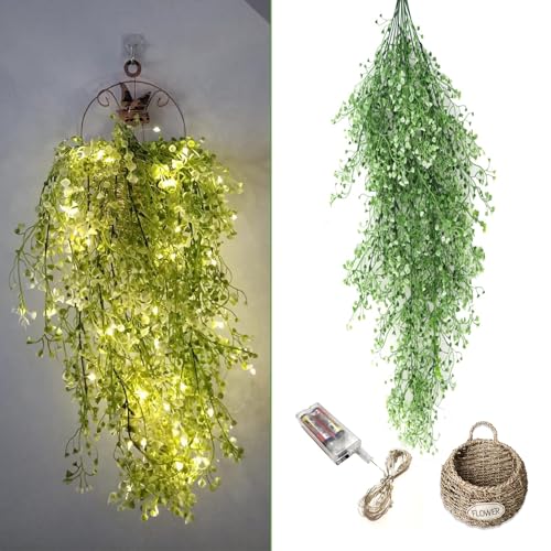 yCharming ClubztFCNO[ ݂艺 lHϗtA Ǌ| LED ACr[ C~l[VCgt ͂Ȃ ~ 120cm  ǂ̑ CeA  Ԃ牺oXPbgt x_ fR[V zj V