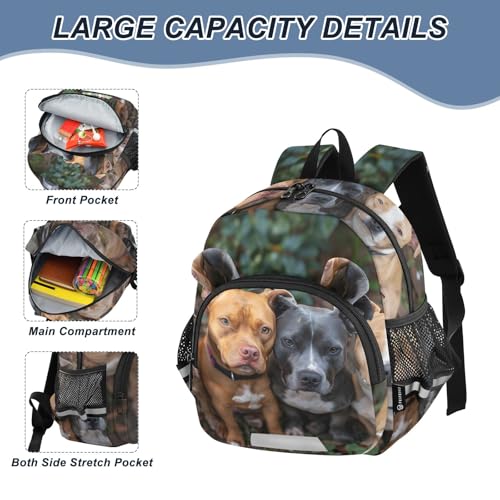 Kid's Backpack for Boys & Girls Toddler Bag A Groupt Of Pitbulls Backpack with Safety Leash4