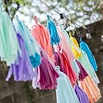 35Pcs Rainbow Tassel Garland Tissue Paper Tassel Banner Decoration for Wedding,Birthday, Group Activities and Games - Image 3