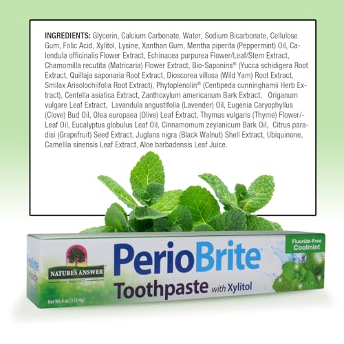 Nature's Answer Oral Health PerioBrite Toothpaste, Cool Mint 4 oz. (a) - 2pc by Nature's Answer – Ansicht 3