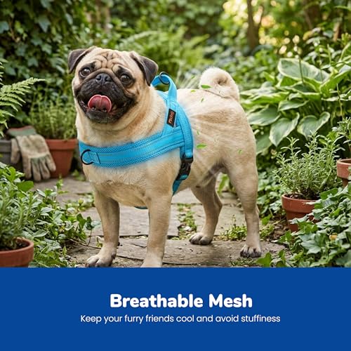 Image of Didog No Pull Dog Harness for Small Dogs, Breathable Mesh Padded, Blue, S
