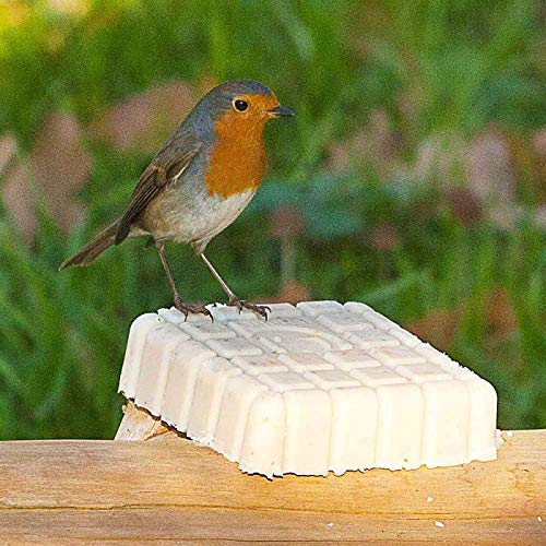 CJ Wildlife Energieblock für Rotkelchen und andere Wildvögel mit Mehlwürmer, Sparpack 7 x 300 g