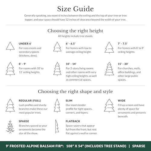 Image of Balsam Hill Frosted Alpine Balsam Fir - Snow-Kissed Artificial Christmas Tree with Pre-Fluffed Memory Wire Branches and LED Clear Fairy Lights, 9'