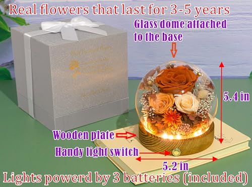 Valleyofrainforestlonglastingrealflowersuniquefloralgiftforyoutosendloveforalloccasionsforindoordecorationorangerosechampagnerosefallthemed  Urban Country Home Decor Valley of rain forest long lasting real flowers unique floral gift for you to send love for all occasions for indoor decoration orange rose champagne rose fall themed  urban country home decor