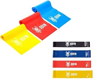 Kit Mini Bands 4intensidades Faixas Elásticas Thera Odin Fit