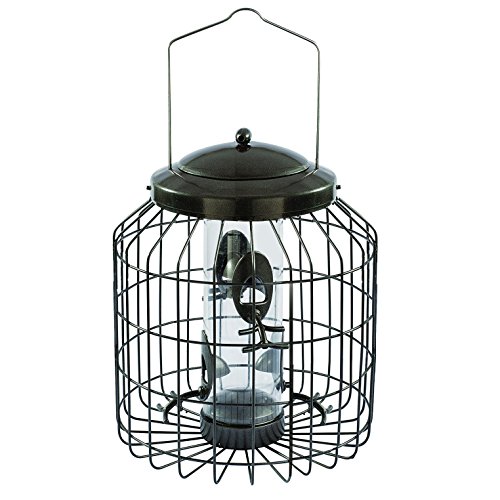 Top 10 Gardman Bird Feeders Of 2020 Best Reviews Guide