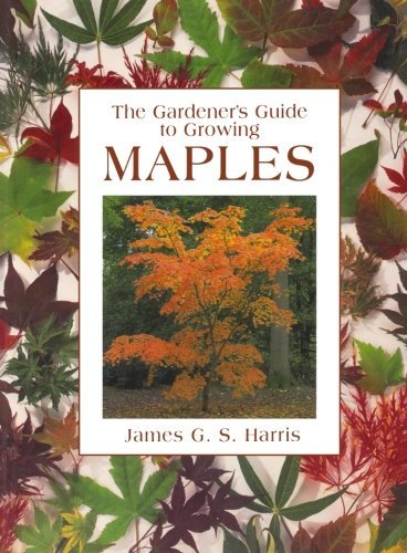 Gardener's Guide to Growing Maples