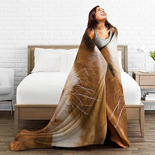 Guinea Pig Dutch Rats Cute Animal Throw Blanket For Kids Teens Women Gifts Warm Lightweight Ultra-Soft Blankets And Throws Fluffy Bedroom Blanket For Sofa Couch Bed 50"X40" #TOP4