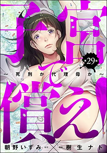 子宮で償え! ~死刑か代理母か~(分冊版) 【第29話】 (ストーリーな女たち)