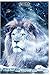 Produktbild Notes: Cute Lion Notebook/Journal for Adults/Children Animals Lovers to Writing (6x9 Inch. 15.24x22.86 cm.) College Ruled Lined Paper 121 Blank Pages (SNOWY WHITE&BLUE&RED Pattern)