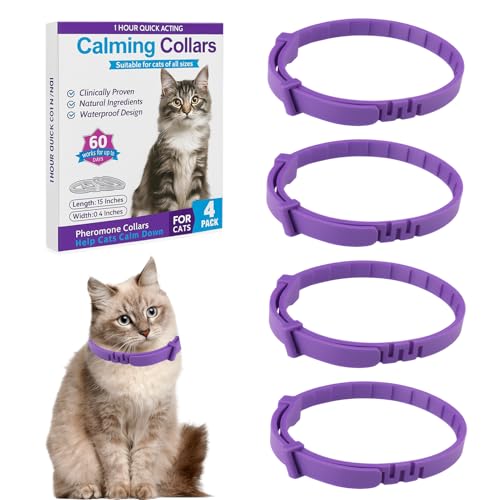 4 Pcs Anti Stress Halsband für Katzen, Zeckenhalsband für Katzen zur Linderung von Angst und Stress, Verstellbar, Wasserabweisend, Beruhigende Halsbänder (Violett) 4 Pcs Anti Stress Halsband für Katzen, Zeckenhalsband für Katzen zur Linderung von Angst und Stress, Verstellbar, Wasserabweisend, Beruhigende Halsbänder (Violett)