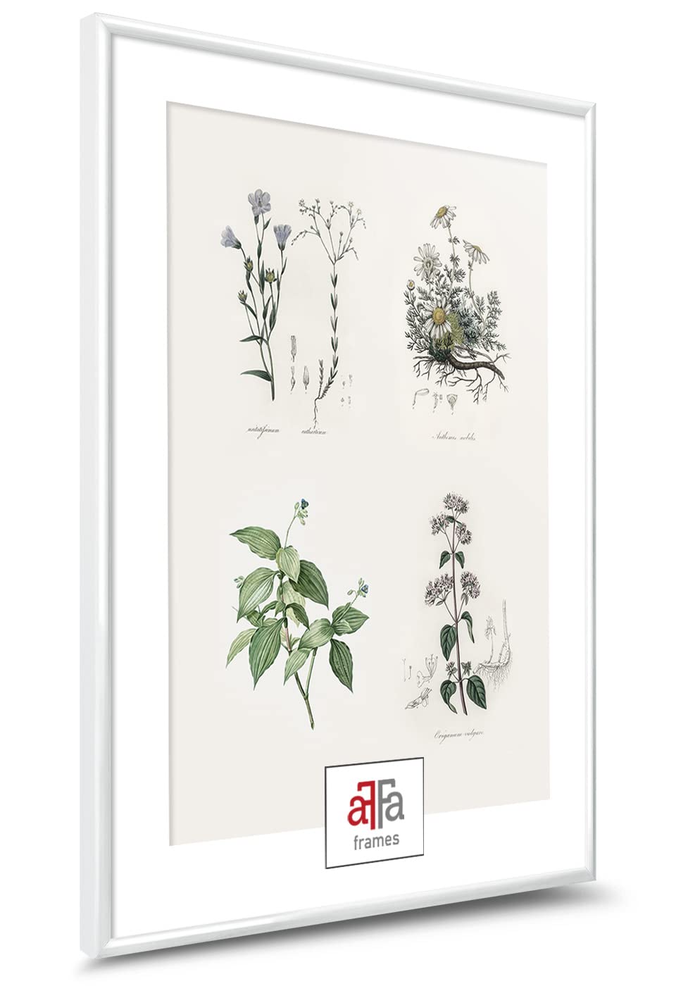 aFFa frames Cadre Photo 60x80 cm — Cadre en Plastique Design Classique avec Verre Acrylique et dos HDF — Cadres pour Photos Certificats Affiches Blanc