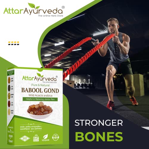 Attar Ayurveda Babul Gond Gum - Kikar Gond - Babool Gond - Acacia arabica Willd (250 Grams)