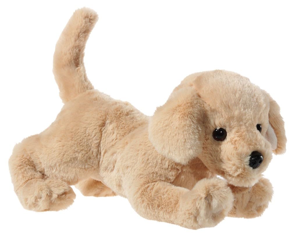301573 Golden Retriever Dog Lying Down Light Brown