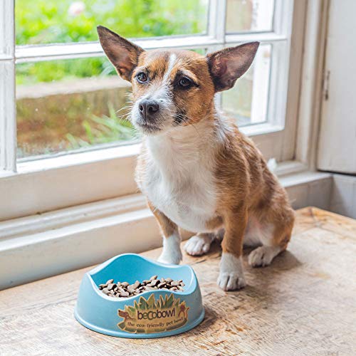 Beco-The-Eco-Friendly-Pet-Bowl-Small-Blue