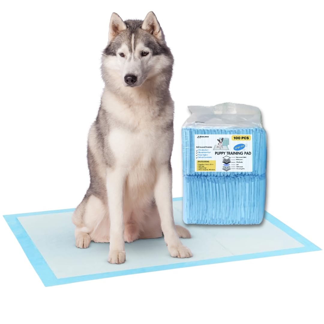PIPI Matten für Hunde,60 Stück, 60x90cm Trainingspads , Hundetoilette Unterlagen, Wickelunterlagen Einweg,Super saugfähig, auslaufsicher, 6-Schichten, ideal für Welpen & ältere Hunde