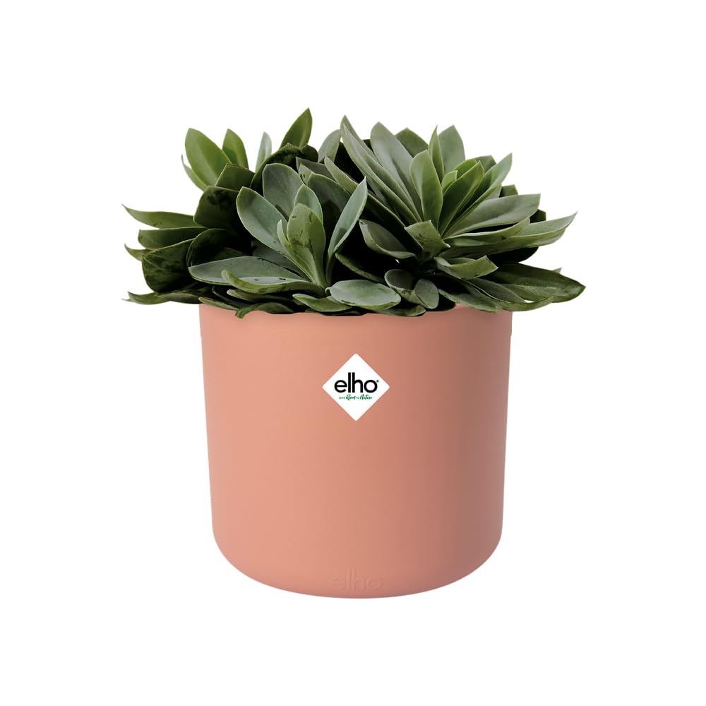 elho B.for Soft Round 16 - Indoor Plant Pot - 100% Recycled Plastic - diameter 16.0 x H 15.0 cm - Pink/Delicate Pink - Image 3