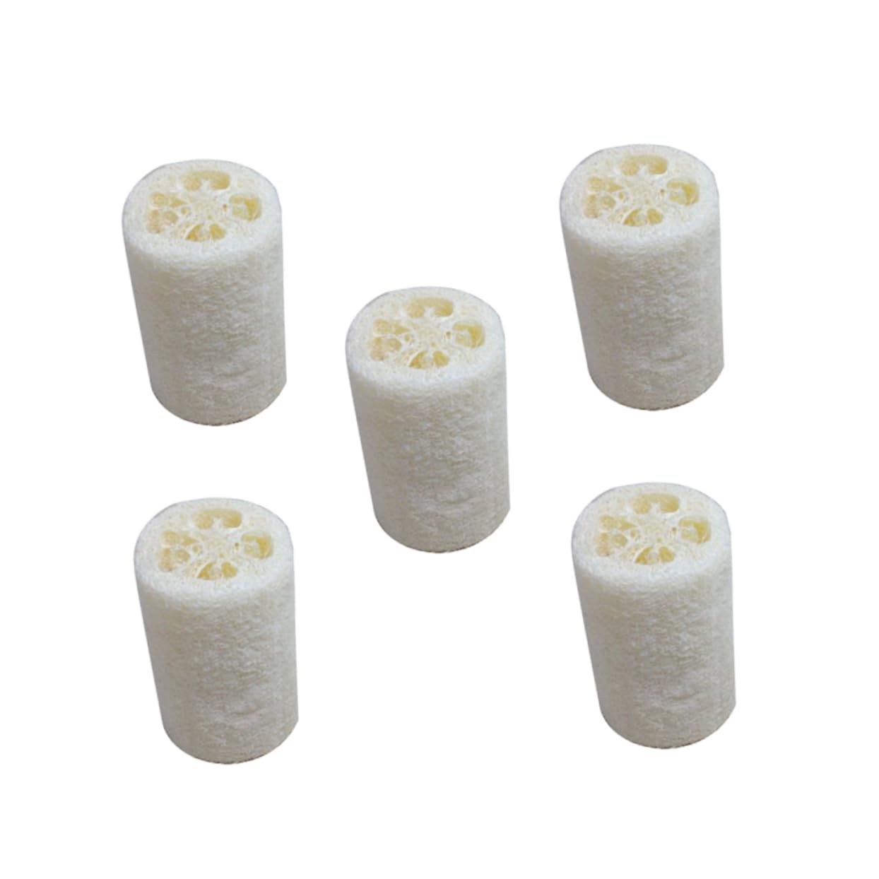 EPIGEIST 5Pcs Natural Loofah Bathing Sponge Deep Cleansing Shower Scrubber for Exfoliating Skin for Body Care and Household Cleaning White Color