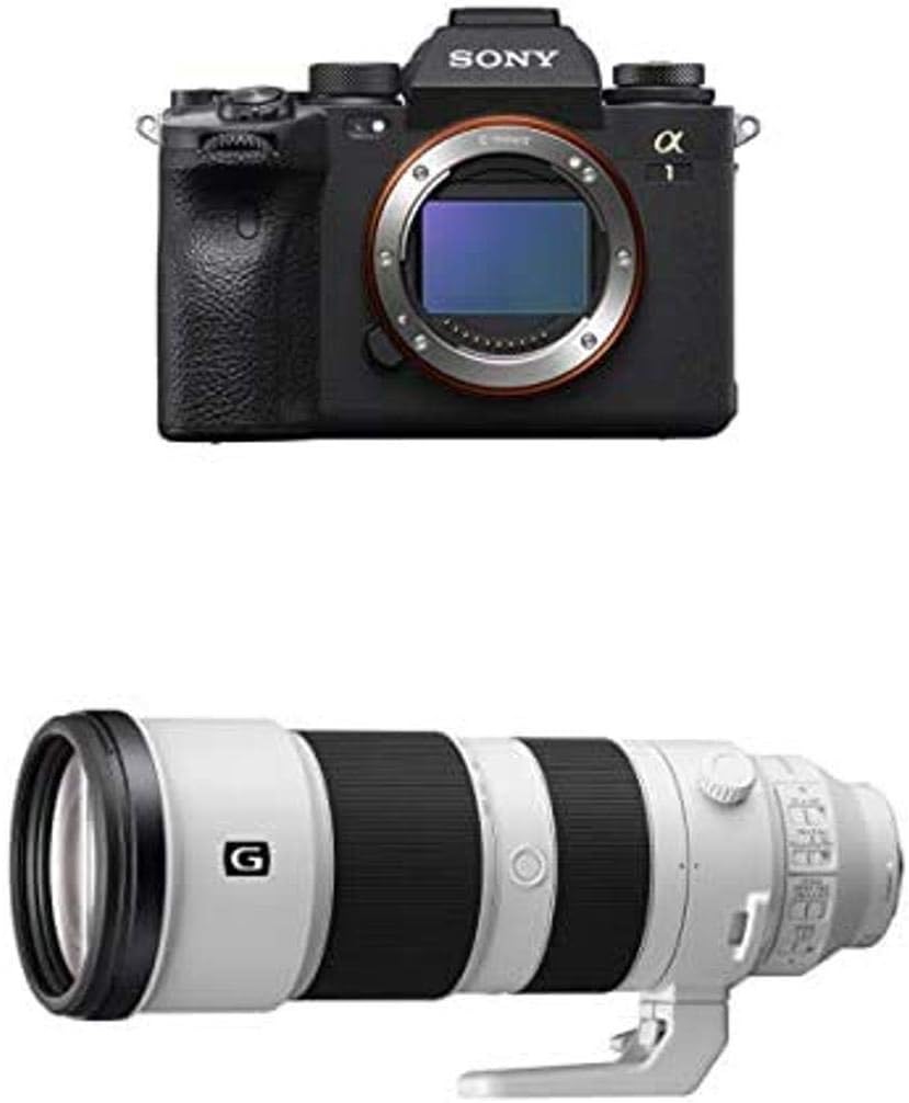 Sony Alpha 1 Full-Frame Interchangeable Lens Mirrorless Camera with Sony FE 200-600mm F5.6-6.3 G OSS Super Telephoto Zoom Lens (SEL200600G)