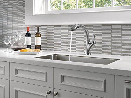 Delta Faucet Linden Single-Handle Kitchen Sink Faucet with Pull Out Sprayer, Arctic Stainless 4153-AR-DST